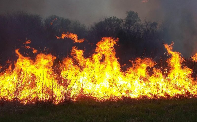 Incendiu de proporţii lângă Cluj. Focul a mistuit 10 de ha de vegetaţie uscată