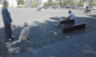 Alegerile au umplut terasele Clujului