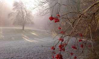 Meteorologii anunță un val de frig. Lapoviță și ninsoare la munte