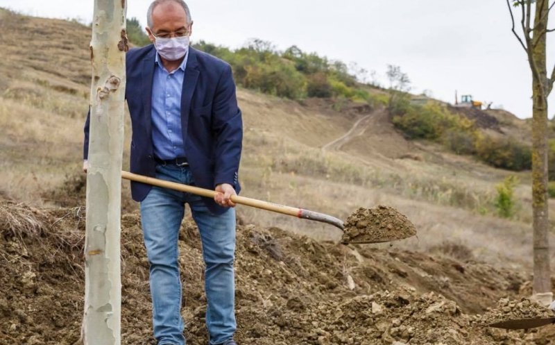 Nici nu s-a uscat bine cerneala pe buletinele de vot, că Boc a și pus mâna pe sapă. Primii arbori din Pădurea Clujenilor