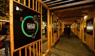 Proiecție de lumini pe Palatul Banffy, la Festivalul Clujotronic