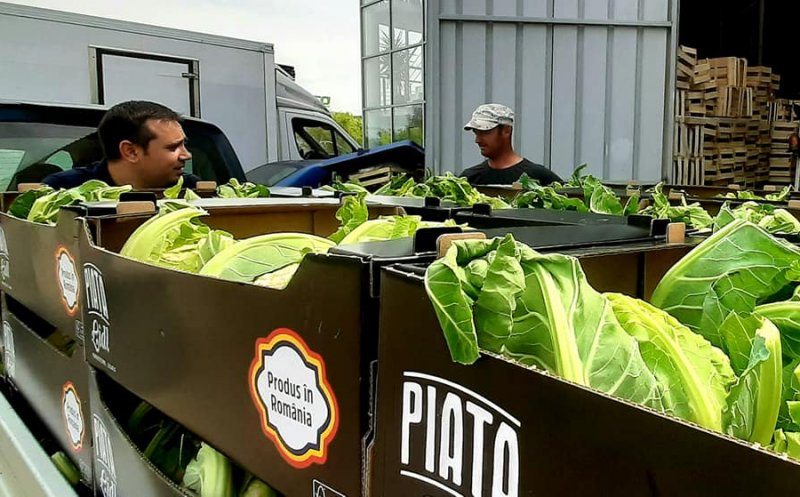 Agricultorii clujeni au intrat în rețelele Kaufland, Lidl și Profi
