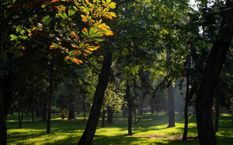 Cum arată toamna în fostul Crâng al Furnicilor, actualul parc din centrul Clujului