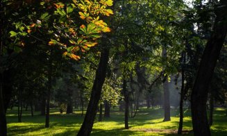Cum arată toamna în fostul Crâng al Furnicilor, actualul parc din centrul Clujului