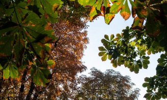 Cum arată toamna în fostul Crâng al Furnicilor, actualul parc din centrul Clujului