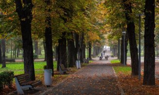 Cum arată toamna în fostul Crâng al Furnicilor, actualul parc din centrul Clujului