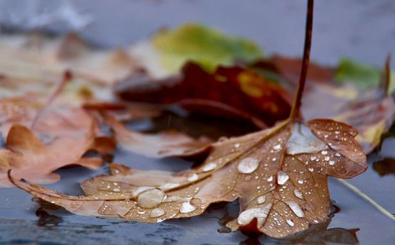 Progonoza meteo pentru această săptămână: Vremea se va răci brusc