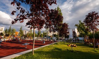 Cluj-Napoca, un oraș din ce în ce mai "verde"