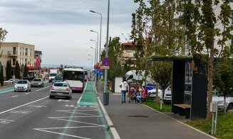 Stațiile de transport public din Cluj cu acoperiș vegetal au trecut testul verii