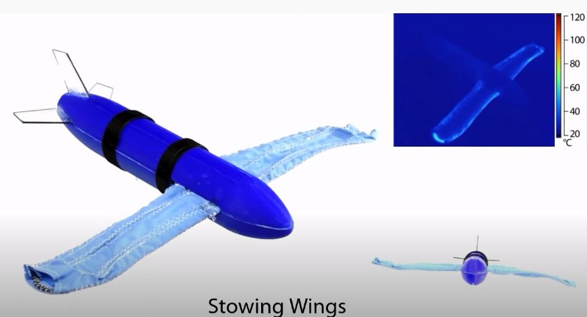 Soft robotica, un domeniu care se dezvoltă rapid şi are aplicaţii foarte variate