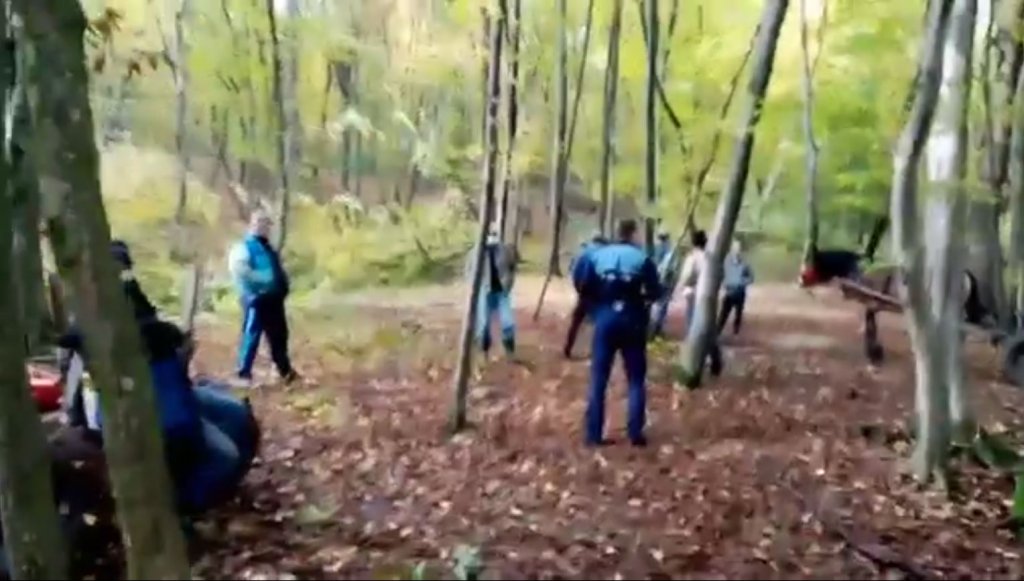 Hoți de lemne surprinși în Pădurea Hoia? „A venit să mă amenințe cu drujba. S-a oprit la 5cm de gâtul meu”/ Ce spune poliția