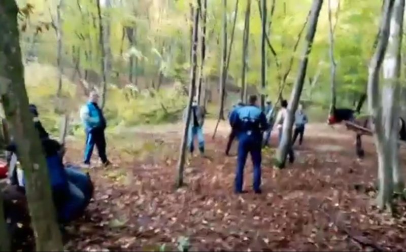 Hoți de lemne surprinși în Pădurea Hoia? „A venit să mă amenințe cu drujba. S-a oprit la 5cm de gâtul meu”/ Ce spune poliția