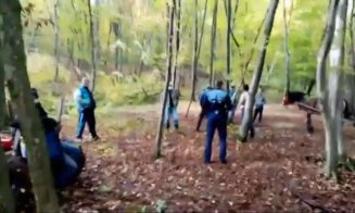 Hoți de lemne surprinși în Pădurea Hoia? „A venit să mă amenințe cu drujba. S-a oprit la 5cm de gâtul meu”/ Ce spune poliția