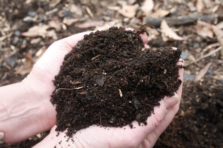Ecocentrul din Florești, închis temporar. Primarul își mai dorește unul în comună