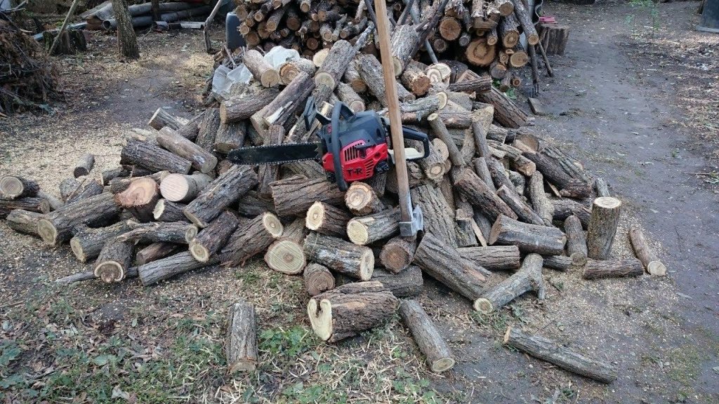 Situație incredibilă la Cluj! Primar PSD, nou ales, urmărit penal pentru furt de arbori. Era pădurar