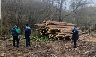 Zeci de metri cubi de material lemnos, confiscat ieri la Cluj