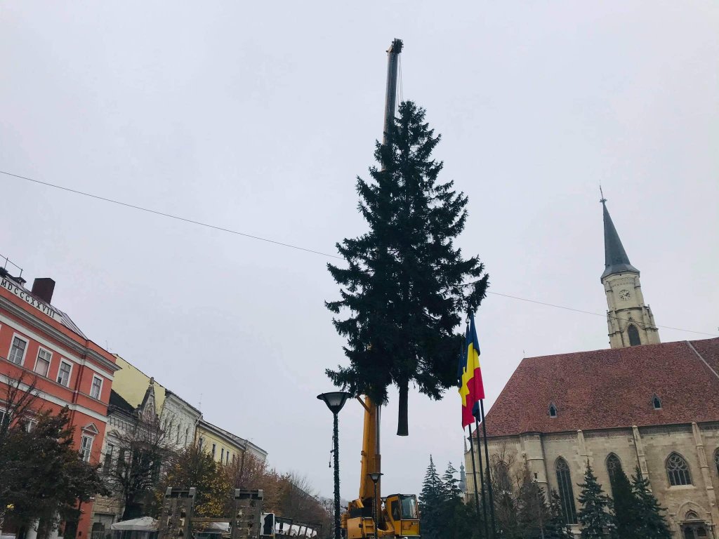 Ziua de Cluj | Clujul se pregătește de Crăciun! S-a montat bradul în Piața  Unirii