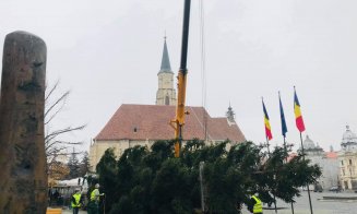 Clujul se pregătește de Crăciun! S-a montat bradul în Piața Unirii