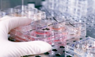 Cercetătorii UBB au făcut o descoperire cu potențial în tratamentul cancerului