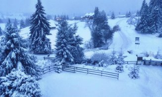 Prima zi de ninsoare la Cluj