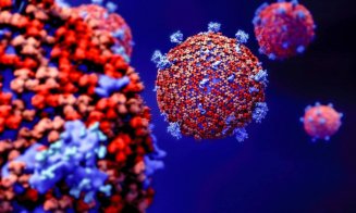 Studiu: Mutaţiile nu determină SARS-CoV-2 să se răspândească mai rapid