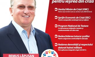 Remus Lăpușan, candidat la Camera Deputaților: "PRO România este un partid tânăr, dar cu oameni experimentați; împreună, scoatem țara din criză"