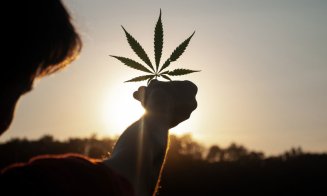 Canabisului i se recunosc oficial proprietăţile medicinale