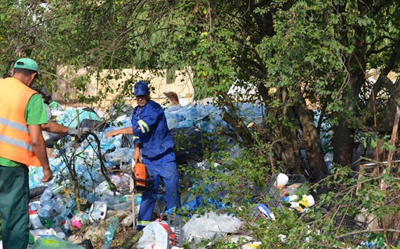 Primăriile pot intra cu forța în curțile și terenurile private pentru a ridica gunoaiele. Acţiunea vine la pachet cu amenzi usturătoare