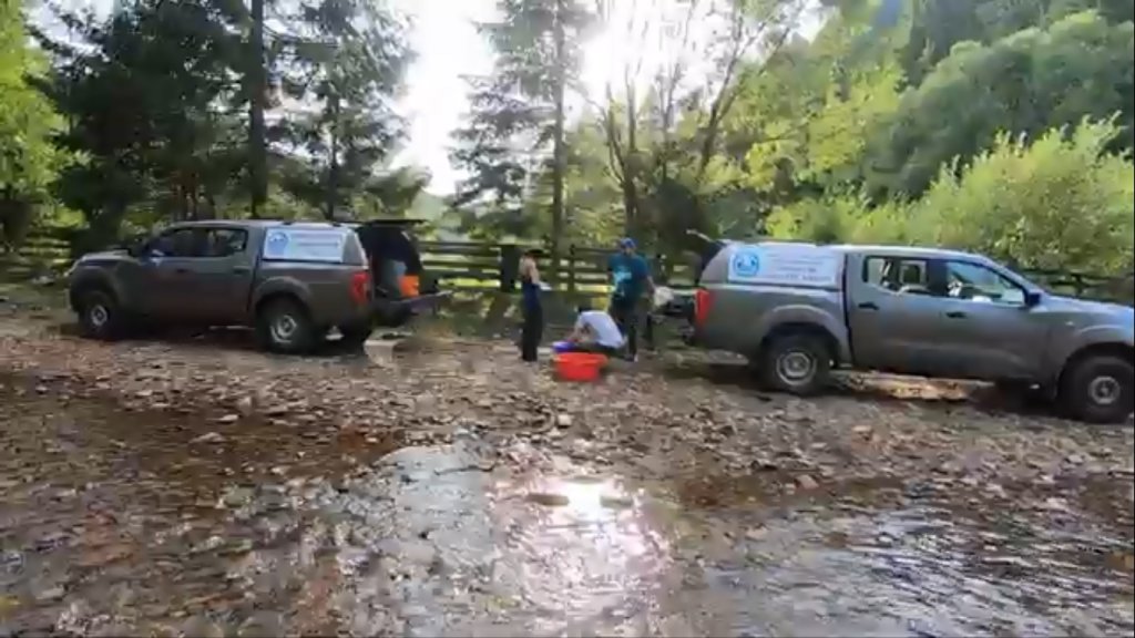 Cât de sănătoși sunt peștii din apele Clujului? Regionala Someș-Tisa face cercetări