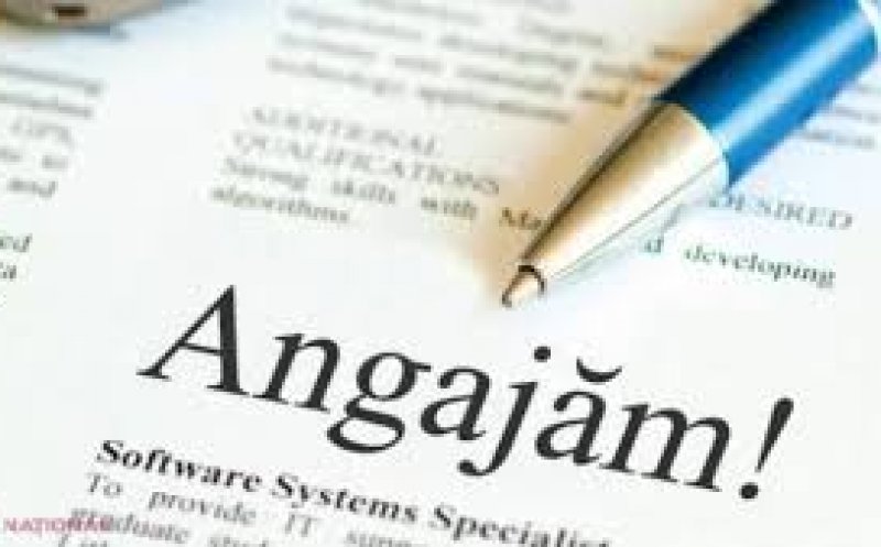 La ce job-uri visează românii în pandemie? Tinerii, mai puțin interesați de un loc de muncă