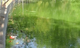 Lacul din parcul Gherla, vechi de 160 de ani, este oferit spre închiriere de Primărie. Povestea plină de farmec a luciului de apă