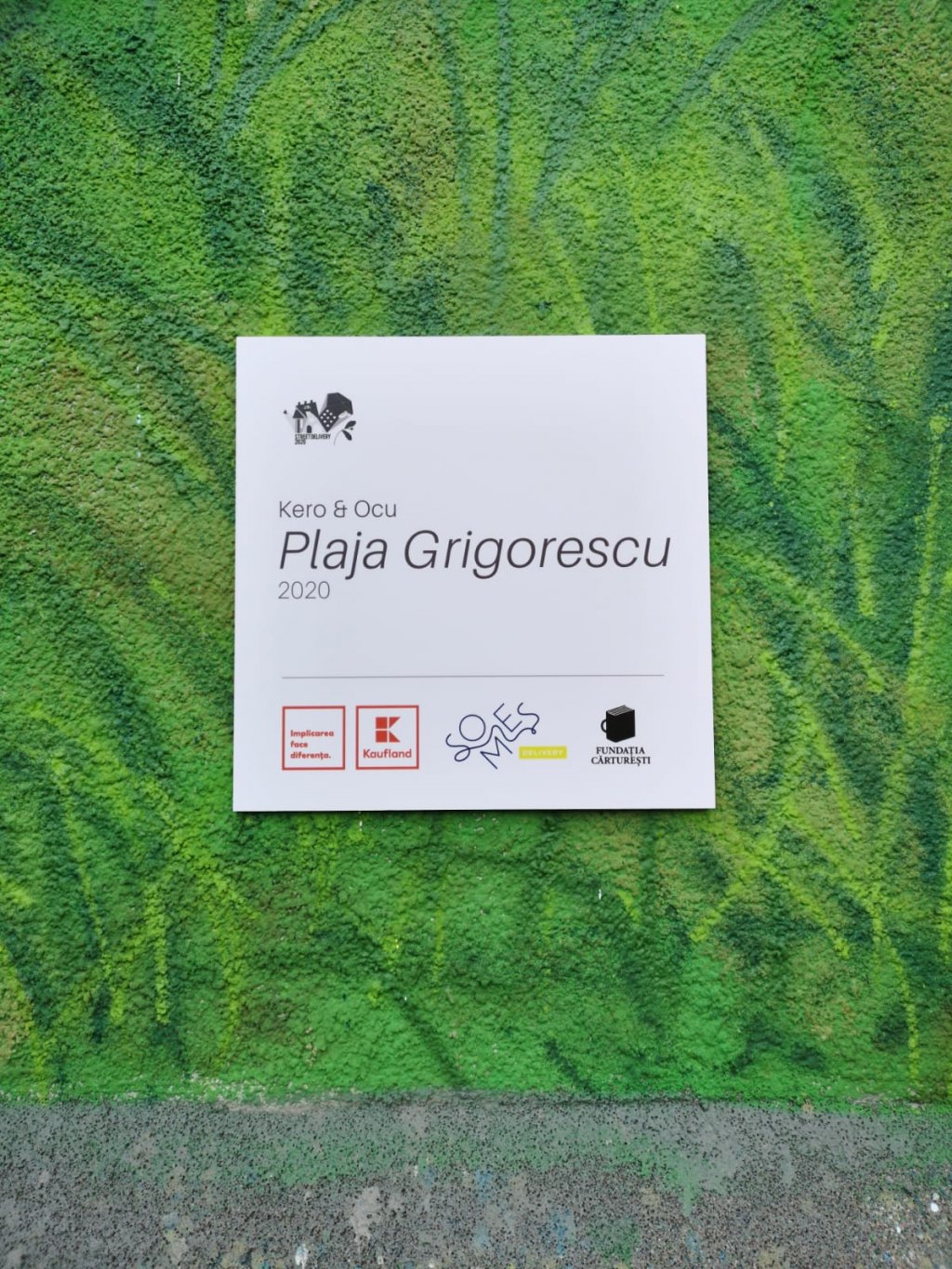 Primul mural din Cluj care purifică aerul, la Someș Delivery