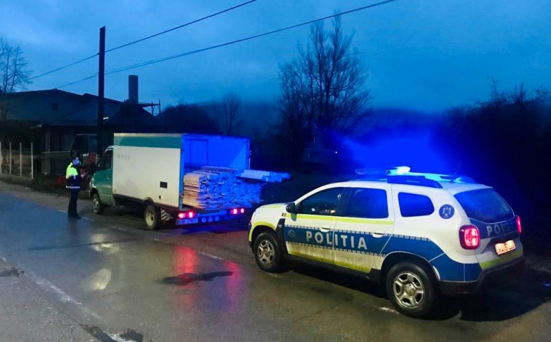 Polițiștii clujeni, pe urmele hoților de lemne din județ