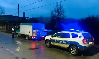Polițiștii clujeni, pe urmele hoților de lemne din județ