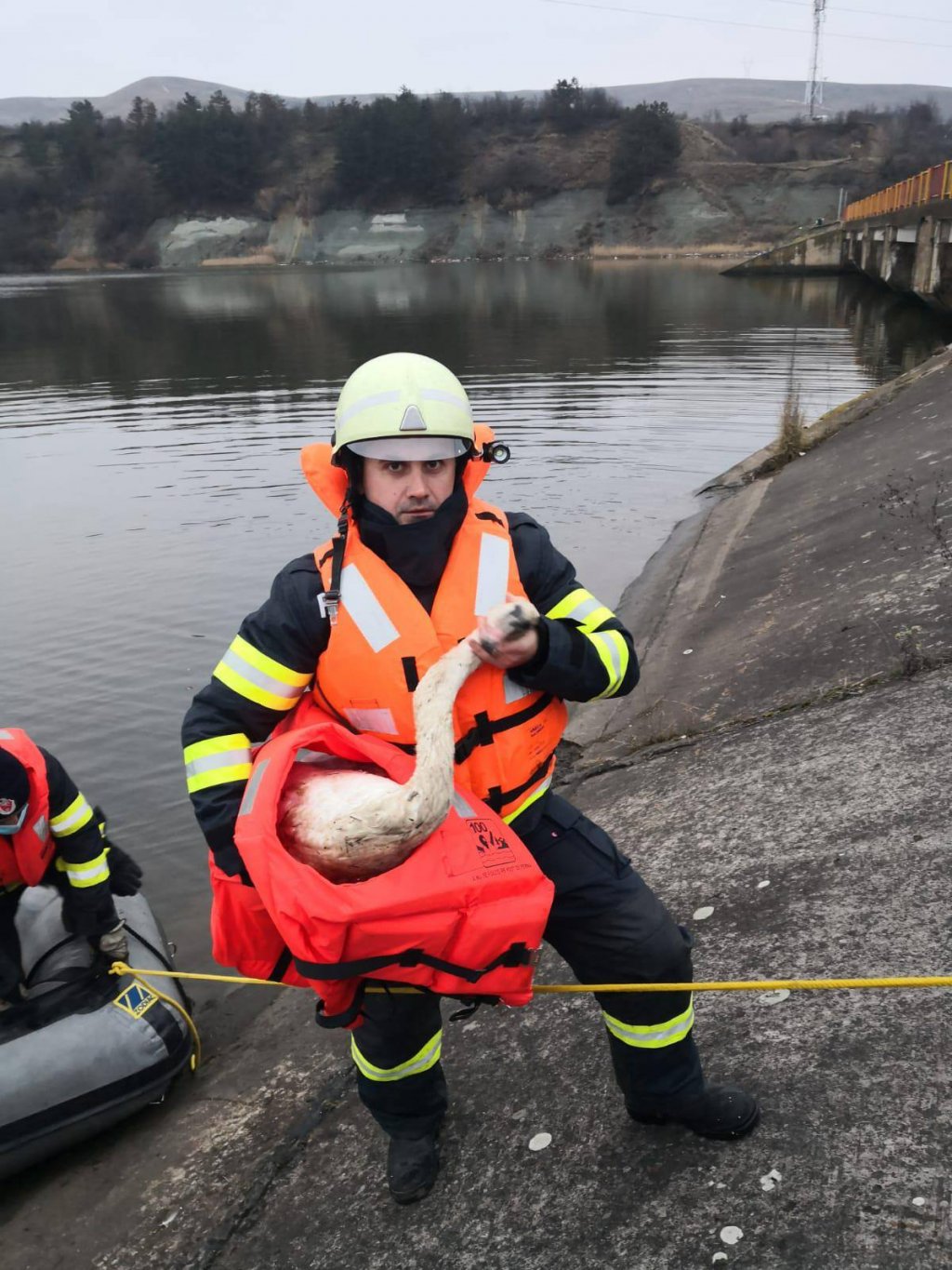 Intervenție mai puțin obișnuită a pompierilor clujeni. Au salvat o lebădă care plutea printre deșeuri