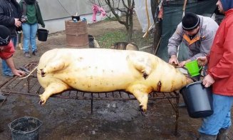 Ignatul porcului: Măcelarii pricepuţi la sacrificarea tradiţională a porcului, tot mai greu de găsit