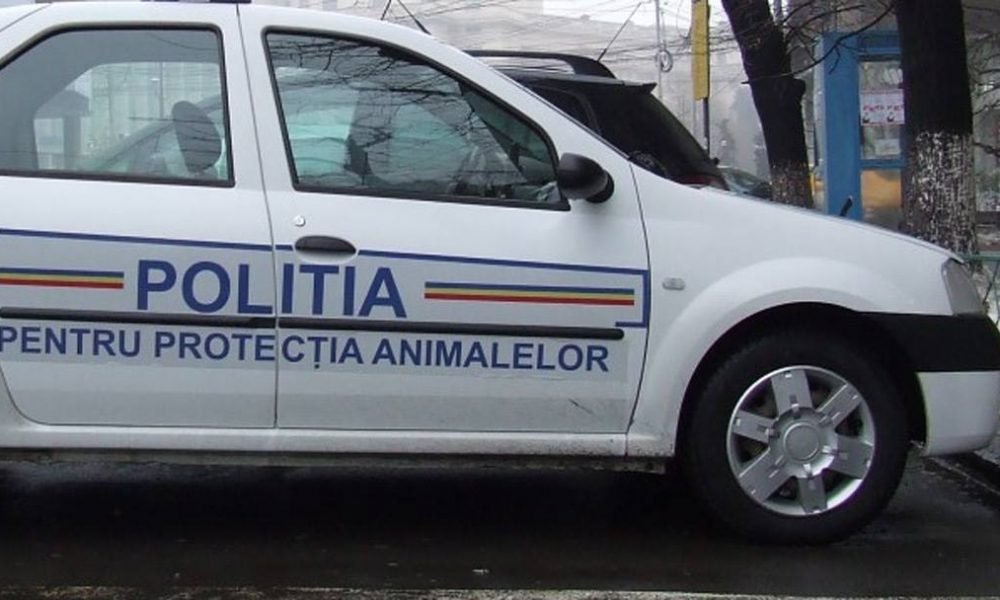 Concurs de recrutare din sursă externă pentru Poliţia Protecția Animalelor