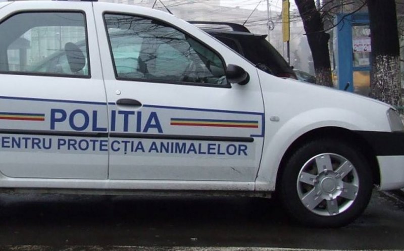 Concurs de recrutare din sursă externă pentru Poliţia Protecția Animalelor