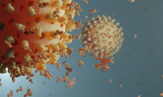Noua variantă de coronavirus: Şapte întrebări frecvente despre tulpina SARS-CoV-2 depistată în Marea Britanie