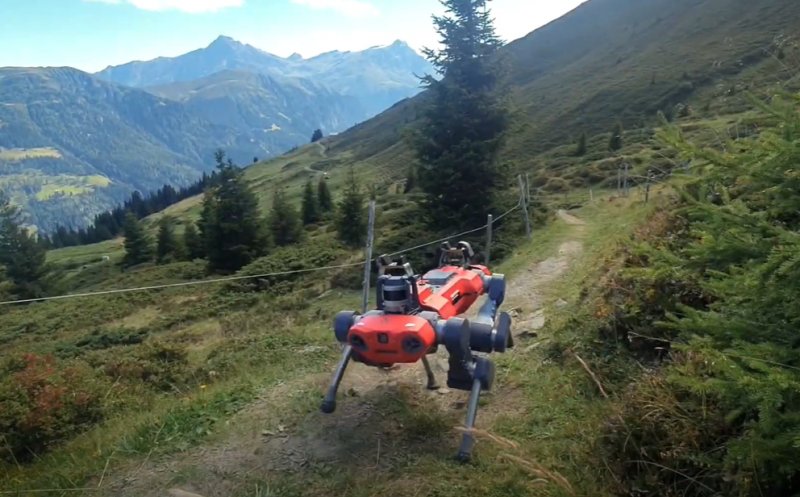Cercetătorii elvețieni au creat un robot „plimbăreţ”. Cum s-a descurcat în lumea reală