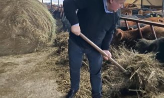 Europarlamentarul Daniel Buda nu uită de animale nici de Crăciun: „Nu degeaba zootehnia se numește industria grea a agriculturii”