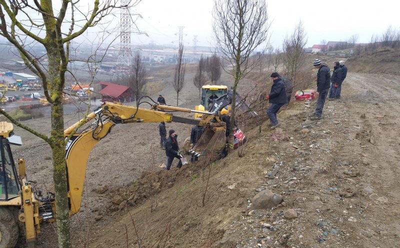 Parcul Tineretului prinde contur. Vremea ține cu clujenii, așa că plantările continuă între sărbători