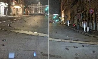 Dezastru produs de focurile de artificii: mii de păsări moarte, sau incapabile să mai zboare