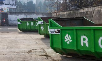 Colectarea gratuită a brazilor de Crăciun