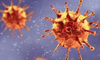 Varianta sud-africană de coronavirus