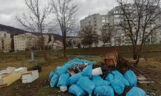 Încă un stăvilar pe cursul Someșului, pentru a opri deșeurile plutitoare