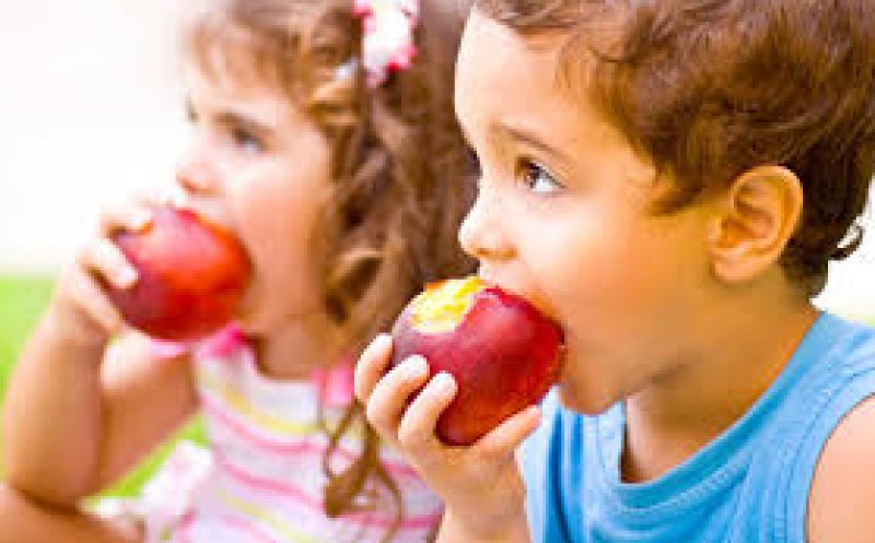 UBB militează pentru promovarea nutriției sănătoase în școli și grădinițe
