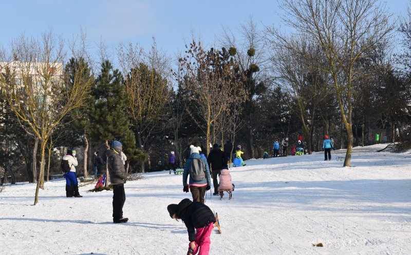 “Aici m-am jucat cand eram copil, acum 40 de ani. Acum imi aduc fetița, din Floreşti, la derdeluş aici.” Ce spun localnicii despre centura ce urmează să treacă prin Parcul Colina
