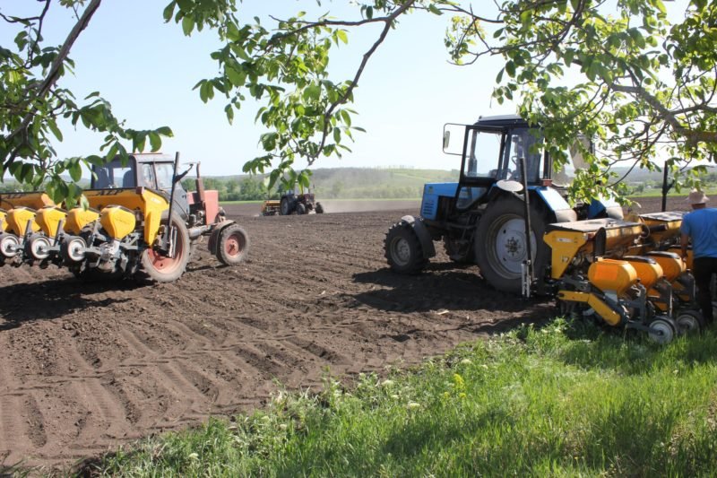 Fermierii clujeni își fac fabrică de nutrețuri combinate