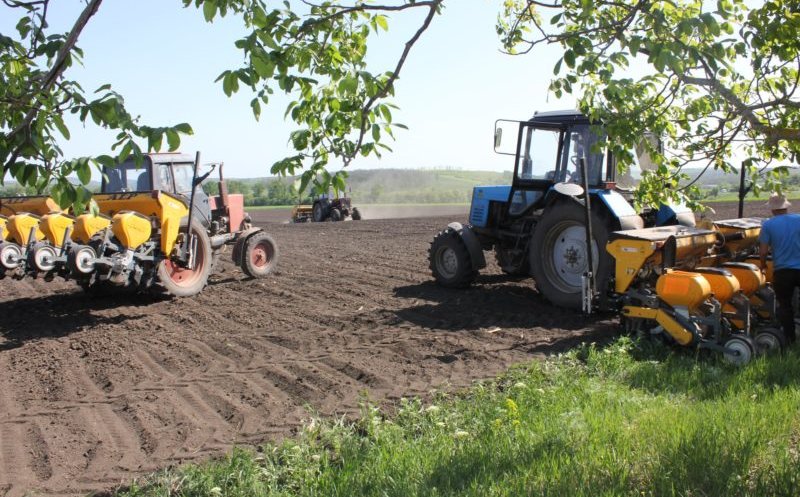 Fermierii clujeni își fac fabrică de nutrețuri combinate